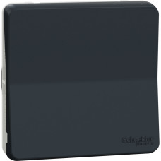 Schneider Electrics Pārslēdzis z/a (meh) 10A antracīts IP55 IK08 MUREVA