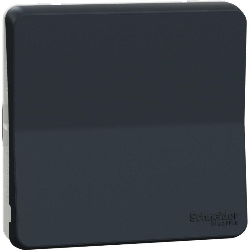 Schneider Electrics Pārslēdzis z/a (meh) 10A antracīts IP55 IK08 MUREVA