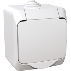 Schneider Electrics Kontaktligzda 1-v v/a ar zem. kontaktu aiz. balta IP44 CEDAR Plus