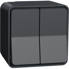 Schneider Electrics Divtaustiņu pārslēdzis v/a antracīts IP55 IK08 MUREVA