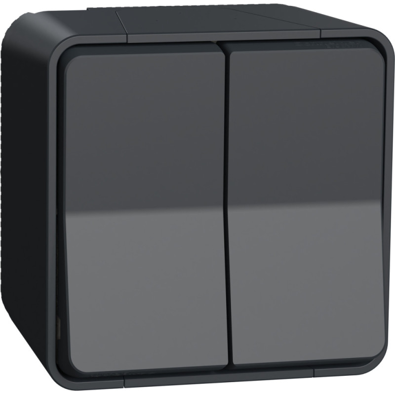 Schneider Electrics Divtaustiņu pārslēdzis v/a antracīts IP55 IK08 MUREVA