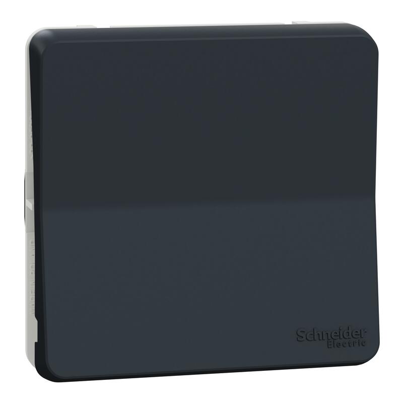 Pārslēdzis z/a (meh) 10A antracīts IP55 IK08 MUREVA - Image 1